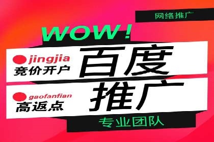 SEO与SEM优化案例：打造行业领先品牌
