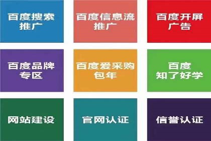 竞价广告投放技巧与案例分析